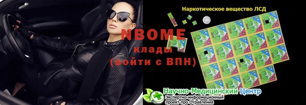 прущие грибы Аркадак