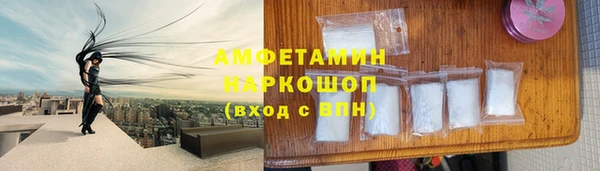 прущие грибы Аркадак