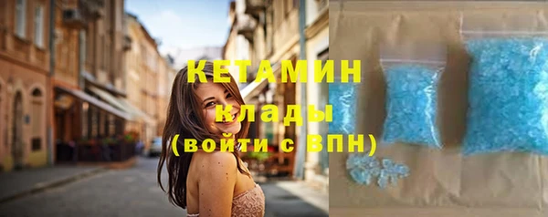 прущие грибы Аркадак