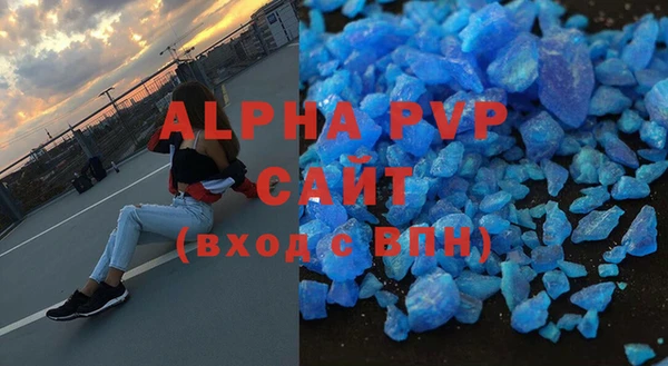 прущие грибы Аркадак