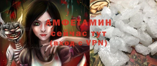 прущие грибы Аркадак