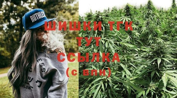 прущие грибы Аркадак