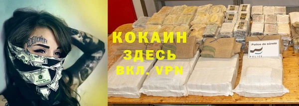прущие грибы Аркадак