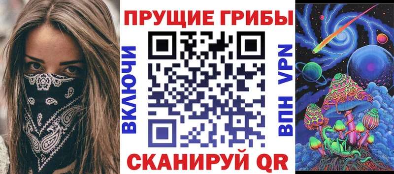 Псилоцибиновые грибы Psilocybine cubensis  наркошоп  Гвардейск 